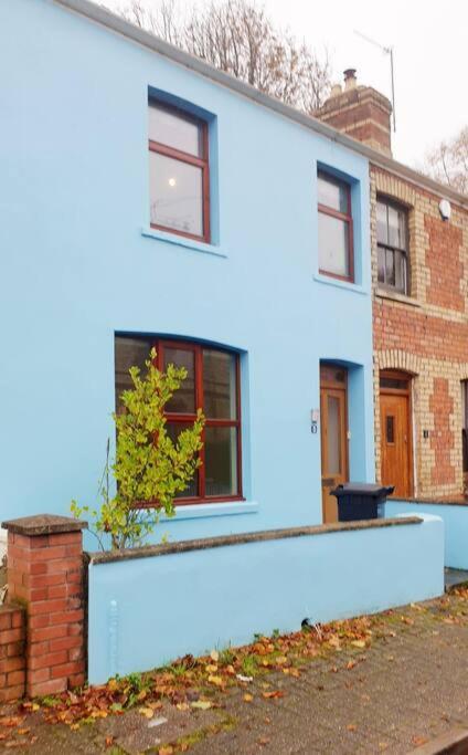 Gorgeous Victorian House Sleeps 6 In Cardiffヴィラ エクステリア 写真